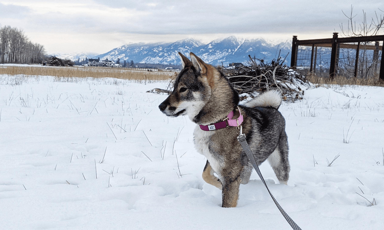 Yamamichi Sou Shikoku